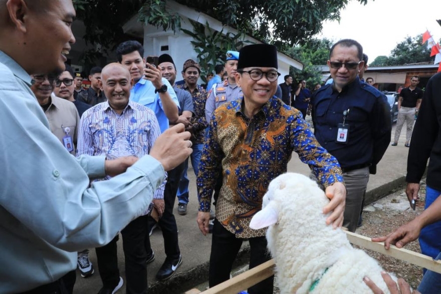 Kembangkan Desa Domba, Kemendes Gandeng Kurma Adzwa Farm